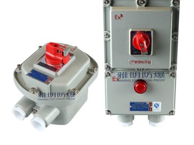 BDZ52-40A380VIP65加指示灯防爆断路器
