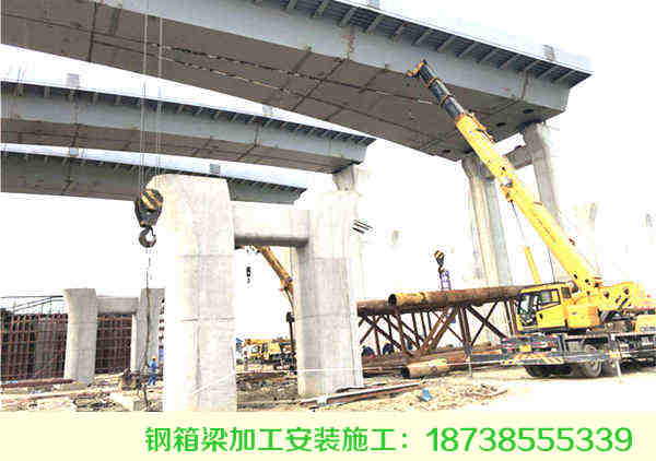 四川眉山钢结构桥梁加工安装钢箱梁天桥