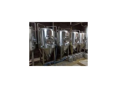 中小型精酿啤酒设备厂家 酿酒啤酒设备 500升设备